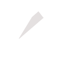 江门临时保镖服务